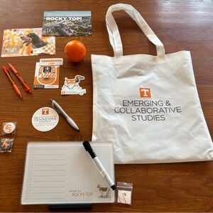 University of Tennessee Tote Bag and Memo Board Bundle